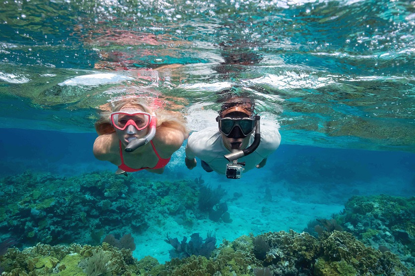 richesse et la beauté sous-marines en randonnée palmée.